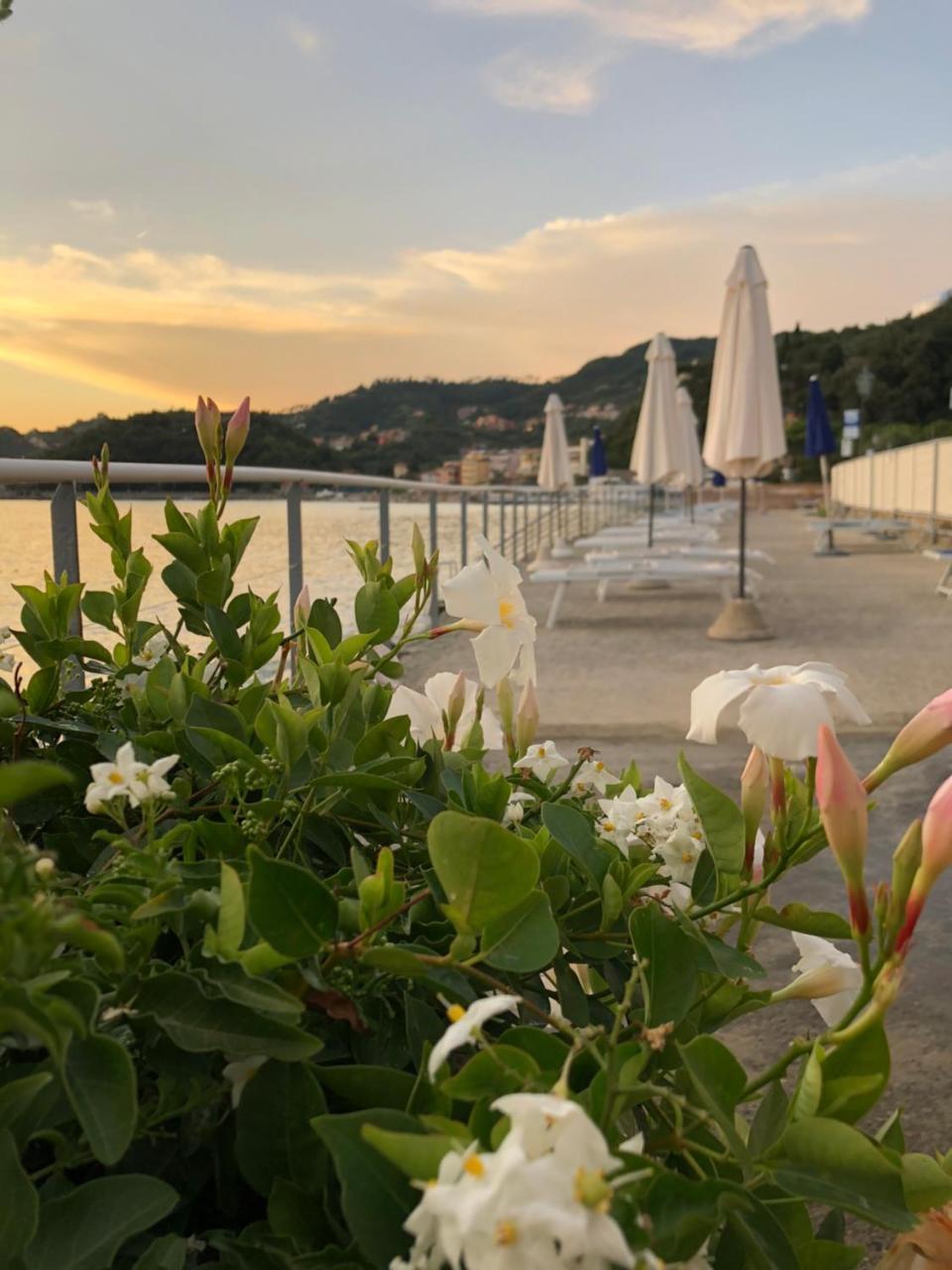 Hotel Shelley e delle Palme Lerici Esterno foto